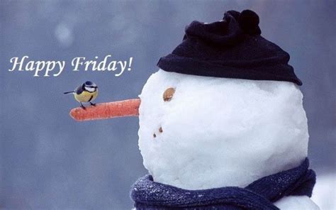 Good Morning..... | Winter Wonderland Happy Friday Humour, Happy Friday Morning, Happy Friday ...