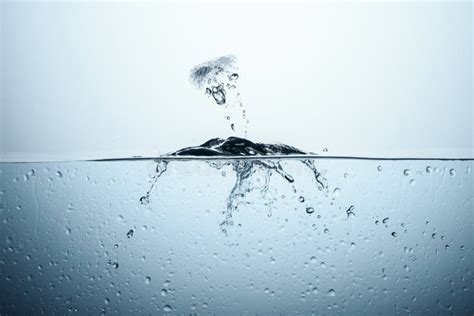 Ice Cube in Pure Water with Splash Stock Photo - Image of water, splashing: 108790276