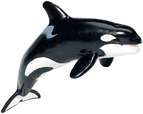 Killer Whale Model