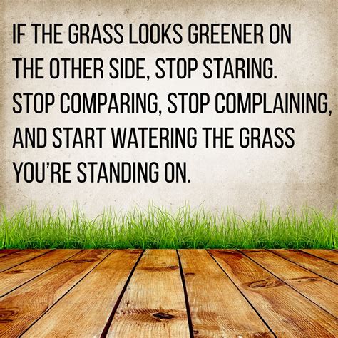 Is The Grass Really Greener? - Anu Morris