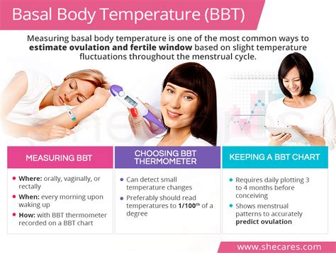 Measuring Basal Body Temperature | SheCares