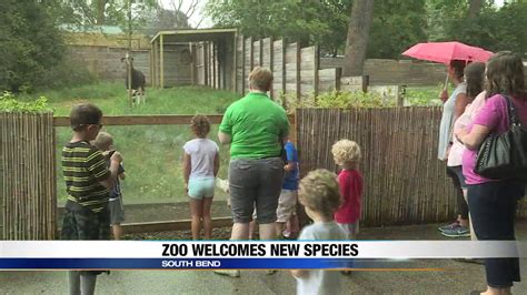 Potawatomi Zoo welcomes new species