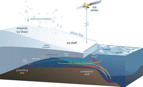 Antarctic ice shelf thinning is accelerating, reveals new study ...