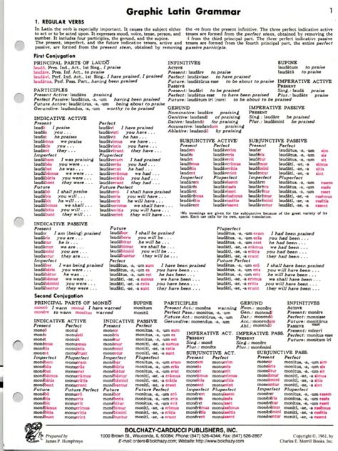 Latin Grammar | PDF | Grammar | Syntactic Relationships