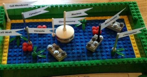 Lego version of a plant cell Plant Cell Project, Cell Model Project ...