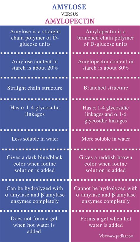 Difference Between Amylose and Amylopectin | Definition, Occurrence ...