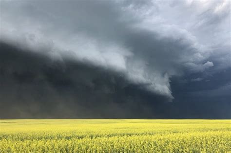 Hail and strong winds damage crops in southern Sask. | 980 CJME