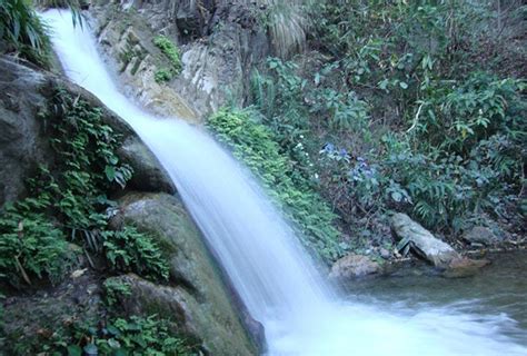 Best Waterfalls In & Around Dehradun- Amazing Waterfalls in Dehradun