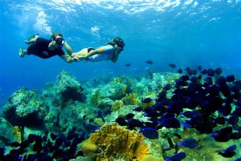 Snorkeling - Blue Bay Dive & Watersports