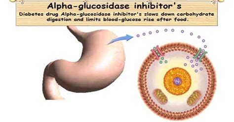 Alpha-Glucosidase Inhibitor | Precose | Diabetes Medication