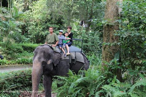 mikahaziq: Singapore Zoo Animals - Loads of fun for kids