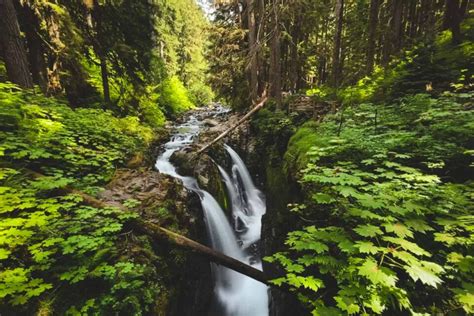 Your Guide to Hiking The Sol Duc Falls Trail - Washington is for Adventure