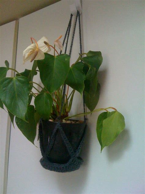 Plant holder to keep my desk clear at work :) (It hangs from my cubical ...