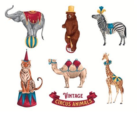 110 Circus Giraffe Vintage Draw Images, Stock Photos, 3D objects, & Vectors | Shutterstock