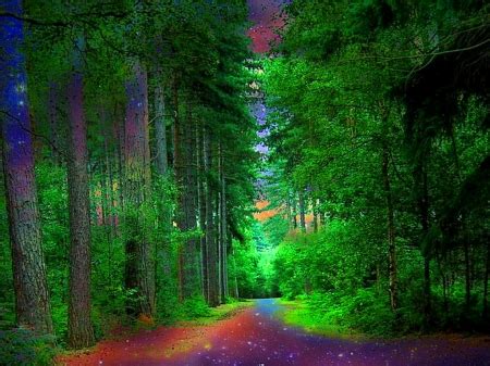 Lush green - Forests & Nature Background Wallpapers on Desktop Nexus (Image 2167976)