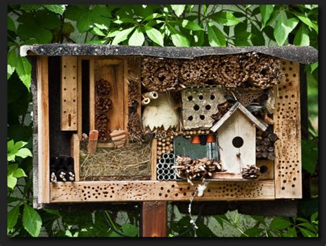 Insect Hotels - Learning Landscapes Design