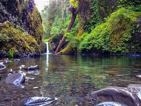 The best waterfall hikes near Portland, Oregon: Punchbowl Falls Hiking ...