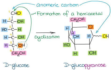 Converting Between Fischer, Haworth, and Chair Forms of Carbohydrates — Organic Chemistry Tutor