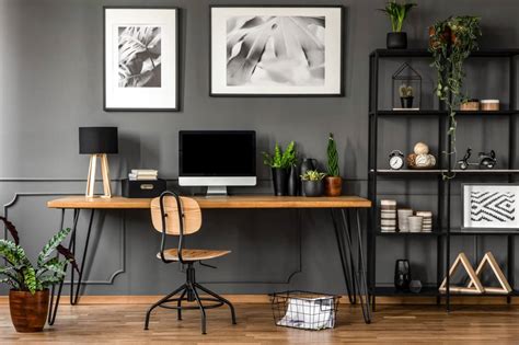 10 Best Feng Shui Plants for Your Office Desk - Petal Republic