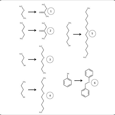 Identified products of thiol oxidation catalyzed by chloroperoxidase in ...