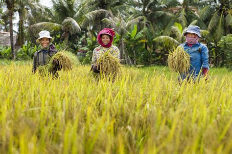 Agriculture and Food Security | Cambodia | U.S. Agency for International Development