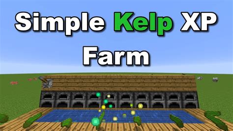 How To Make A Simple Xp Farm In Minecraft - Margaret Wiegel™. Aug 2023