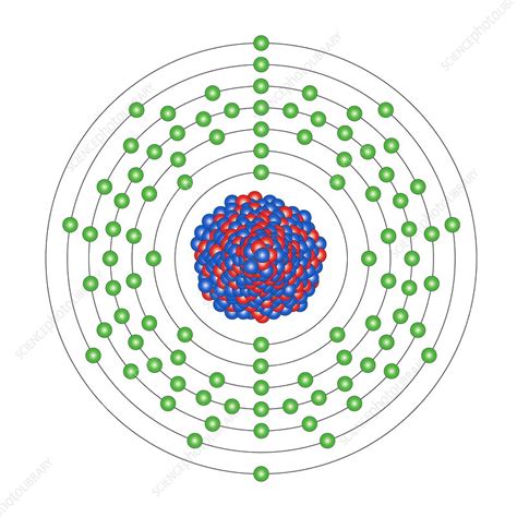 Neptunium, atomic structure - Stock Image - C013/1836 - Science Photo Library