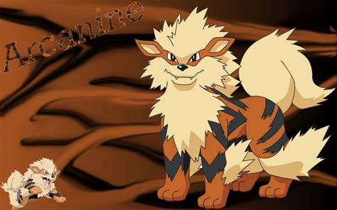 Arcanine Wallpapers - Top Free Arcanine Backgrounds - WallpaperAccess