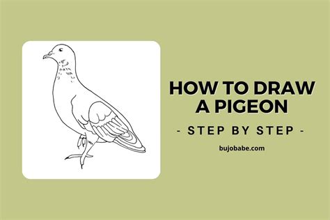 How To Draw A Pigeon Step By Step (Fun Drawing Guide) - Bujo Babe