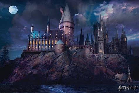 Harry Potter Poster Hogwarts 61x91.5cm Posters.eu