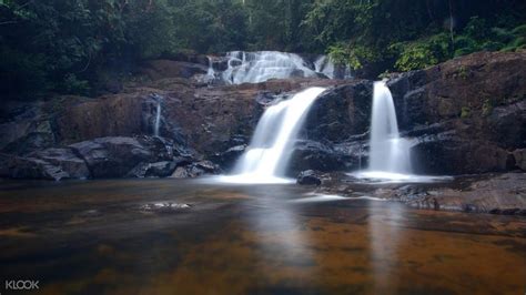 [SALE] Sinharaja Forest Reserve Hike from Mirissa - Ticket KD