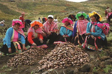 130 Peruvian Potato Varieties Cataloged | Potato Grower Magazine