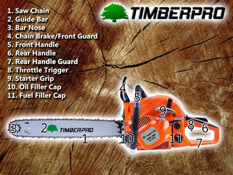 Parts of a Chainsaw | Infographic