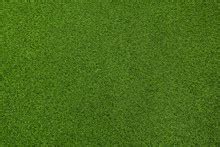 Artificial Grass Free Stock Photo - Public Domain Pictures