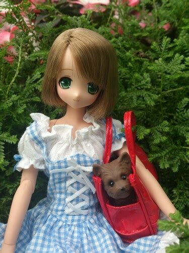 138 best images about Azone doll on Pinterest | Magical girl, Sweet and ...