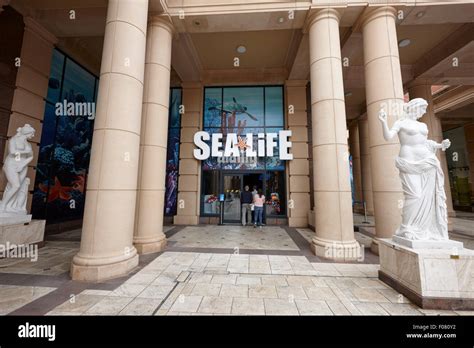 sea life centre at barton square section of the trafford centre Manchester uk Stock Photo - Alamy