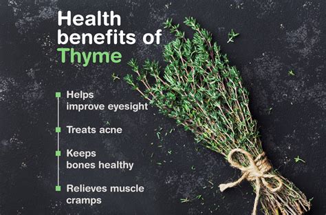 Thyme Herb Benefits