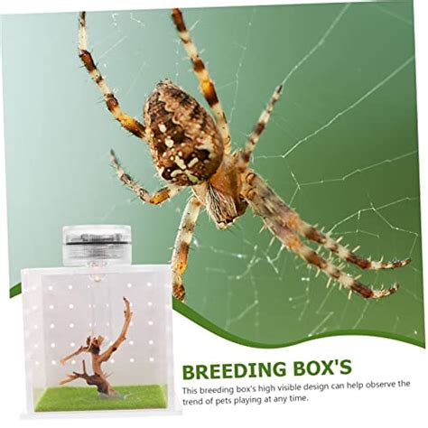 iplusmile 1 Set Jumping Spider Breeding Box Mini Containers Clear Container Tarantula Enclosure ...