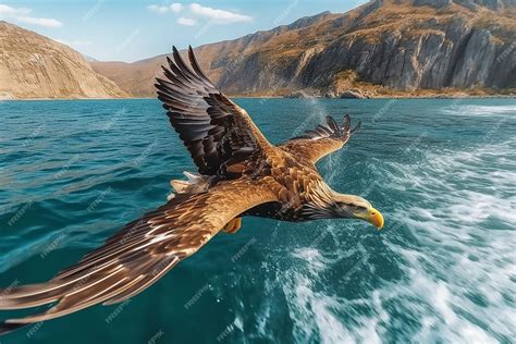 Premium AI Image | Eagle flying in the sky