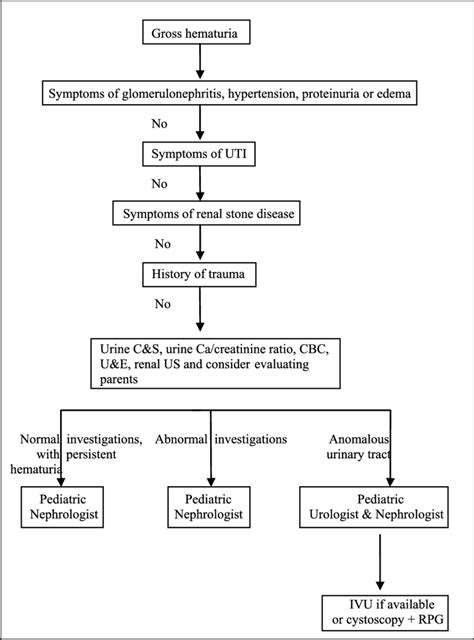 Flowchart for clinical evaluation of gross hematuria for pediatric... | Download Scientific Diagram