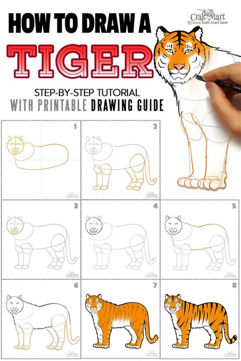 How to create a nice drawing of a tiger for beginners | Tiger drawing ...