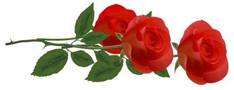 Clipart Rose Border