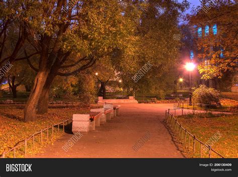 Night View Park Image & Photo (Free Trial) | Bigstock