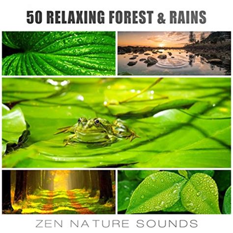 Spiele 50 Relaxing Forest & Rains: Zen Nature Sounds, Gentle Winds for ...