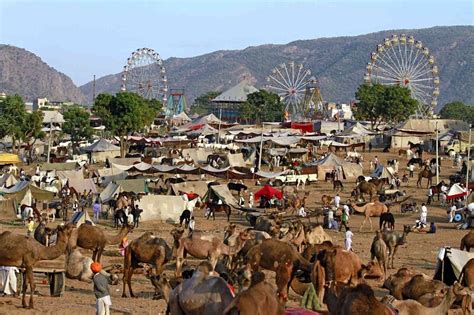 The Ultimate Guide to the Pushkar Camel Fair 2024