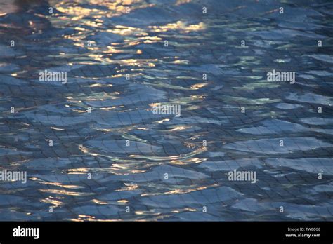 Full frame of swimming pool Stock Photo - Alamy