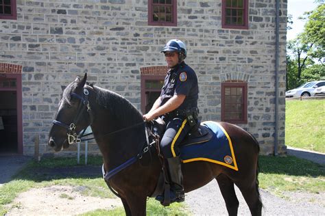 City of Bethlehem - Image Gallery - Mounted Police | Horses, Police ...