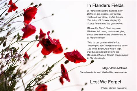 Remembrance and Veterans Day – In Flanders Fields | 50+ World - 50+ World
