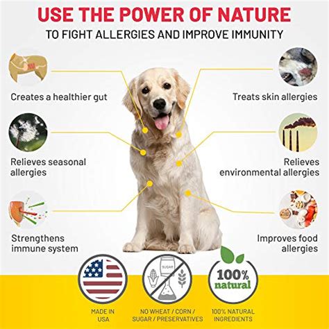 Allergy Relief Immune Supplement For Dogs - Made In USA - Vet Approved ...