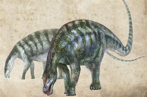 'Amazing dragon' fossil discovery could rewrite dinosaur history